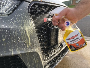 Best bug remover for cars